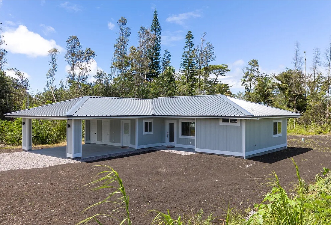 162147 Treefern